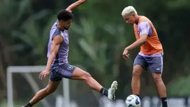 Botafogo quebra o silêncio sobre futuro de camisa 10