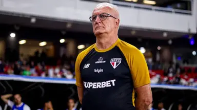 Botafogo avalia técnicos de peso e dois campeões entram no radar