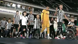 Botafogo perde posições, mas amplia vantagem para o Z-4 no Brasileirão
