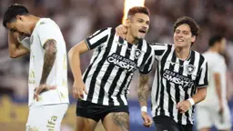 Tiquinho Soares marca, Botafogo vence a Chapecoense e ganha fôlego no Brasileirão