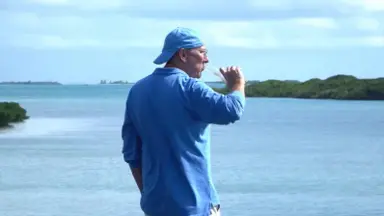 Canal: John Textor vendeu terreno em ilha e oferece aportar mais US$ 25 milhões no Botafogo; social prefere GDA sem ele Canal: John Textor vendeu terreno em ilha e oferece aportar mais US$ 25 milhões no Botafogo; social prefere GDA sem ele