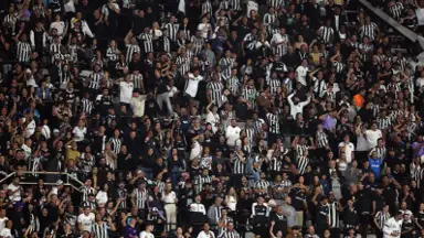 Botafogo fará promoção de ingressos para jogos contra Red Bull Bragantino e Grêmio Botafogo fará promoção de ingressos para jogos contra Red Bull Bragantino e Grêmio