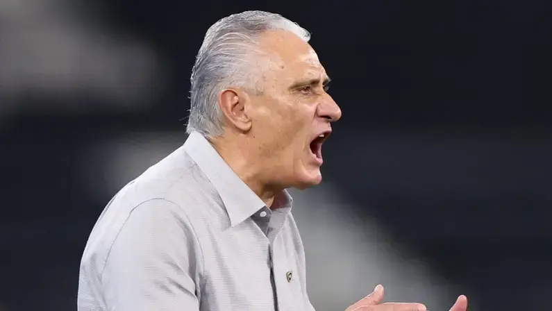 Técnico do Botafogo, Tite é denunciado pelo STJD por invasão de campo e pode pegar mais jogos de suspensão