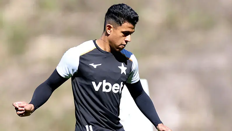 Matheus Martins retorna para o Rio nesta quinta e será reintegrado ao Botafogo