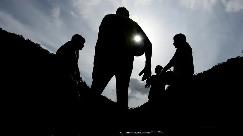Botafogo mira contratações de jogadores 'que decidam', afirma canal