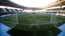 Com veto a bets, Botafogo tem mais preocupação com direitos de transmissão que com patrocínio