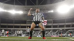 Tiquinho Soares marca em seu retorno e garante vitória do Botafogo