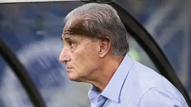 Primeira reunião do Botafogo com Tite termina sem definições, diz jornalista Primeira reunião do Botafogo com Tite termina sem definições, diz jornalista