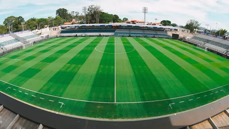 Red Bull Bragantino x Botafogo pelo Brasileirão: onde assistir e escalações