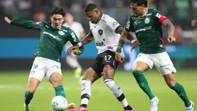 Botafogo luta com um a menos, mas perde do Palmeiras no Allianz Botafogo luta com um a menos, mas perde do Palmeiras no Allianz