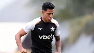 Com Matheus Martins de volta, Botafogo treina na Urca; Domingos Andrade é testado por Tite Com Matheus Martins de volta, Botafogo treina na Urca; Domingos Andrade é testado por Tite