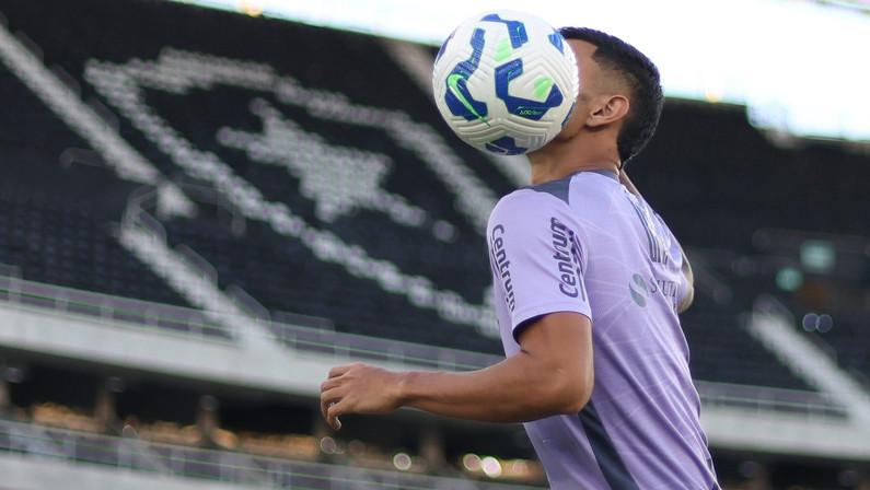Botafogo pode contratar zagueiro que joga no exterior