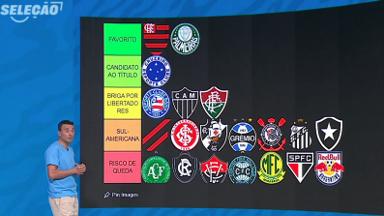 Rizek: Botafogo é incógnita e tem vaga na Sul-Americana Rizek: Botafogo é incógnita e tem vaga na Sul-Americana