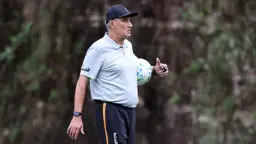 Comentarista aponta setor defensivo como prioridade para Tite no Botafogo