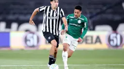 Comentarista vê 'copo cheio' no Botafogo após empate com Palmeiras