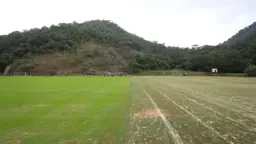 CT Lonier recebe grama de inverno para aprimorar treinos do Botafogo