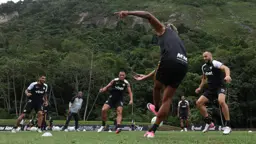Botafogo mira mais um ponta titular em janela de oportunidades