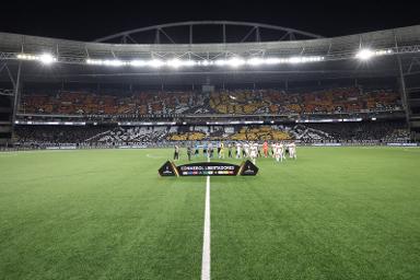 Botafogo sonha alto e planeja grande transformação no Nilton Santos Botafogo sonha alto e planeja grande transformação no Nilton Santos