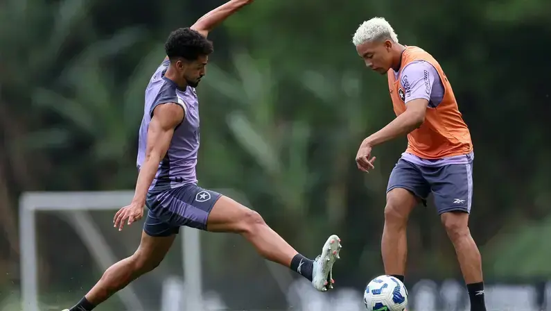 Botafogo quebra o silêncio sobre futuro de camisa 10