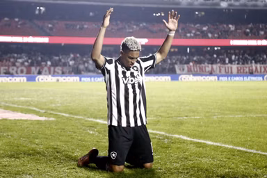 Botafogo viveu um mês decisivo fora de campo Botafogo viveu um mês decisivo fora de campo